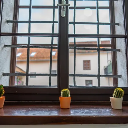 Adlernest Apartment Bad Radkersburg