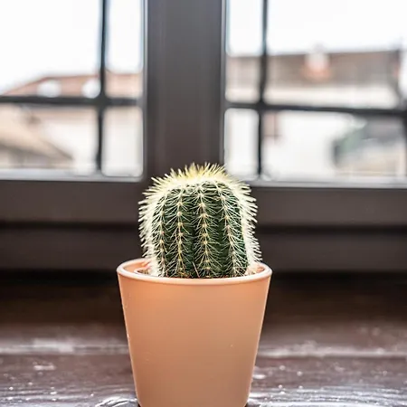 Adlernest * Bad Radkersburg