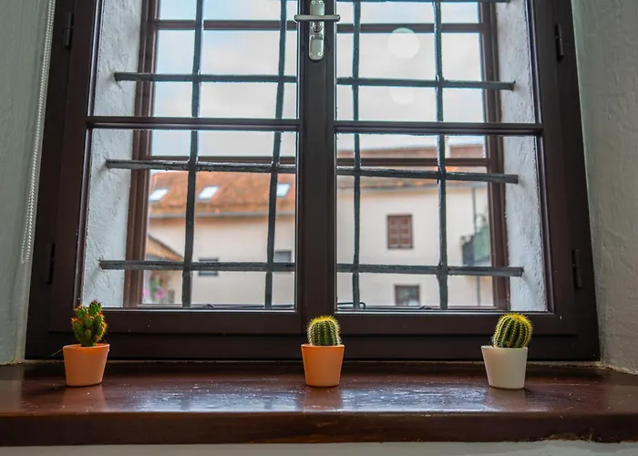 Adlernest דירה באד ראדקרסבורג