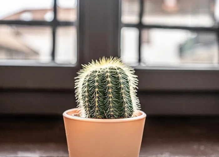 Adlernest * באד ראדקרסבורג